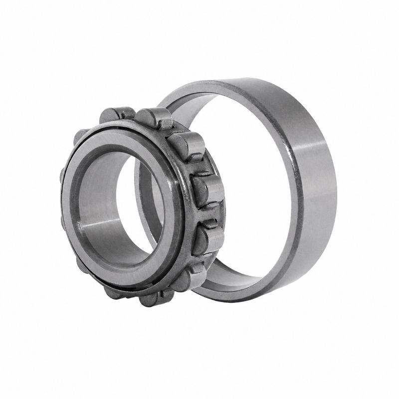 N324-E-M1-C3 X-life Cylindrical Roller Bearing with Cage 120x260x55mm
