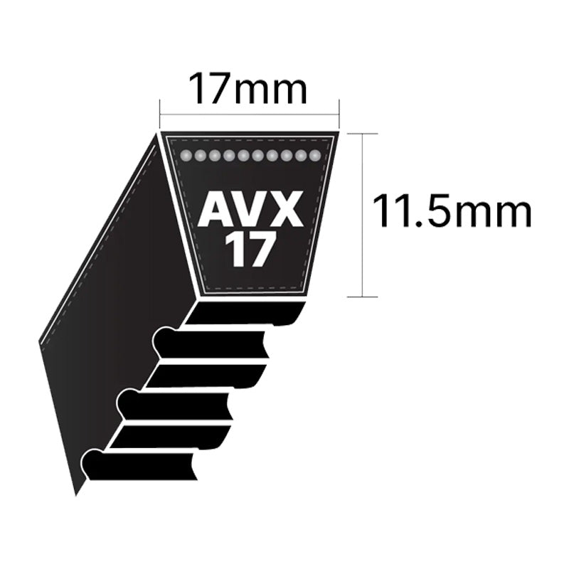AVX17x1750 Pix AVX-Section Cogged V-Belt