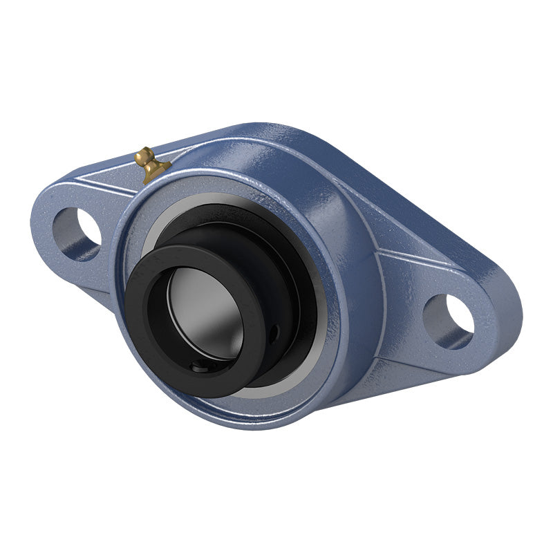 HCFL320 Metric Two Bolt Oval Cast Iron Oval Housing with 100mm Bore Eccentric Collar Insert