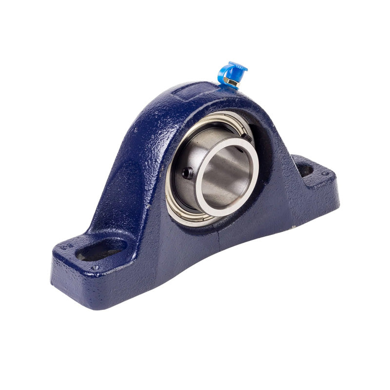 RHP MP2-15/16 Two Bolt Cast Iron Pillow Block and 2-15/16 Bore Grub Screw Insert