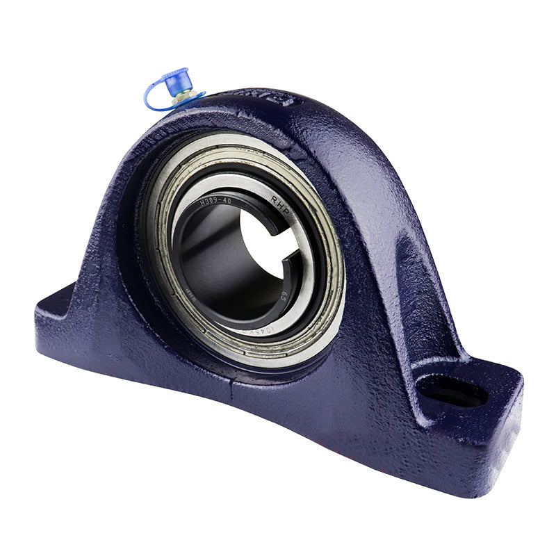 RHP NP1050K Two Bolt Cast Iron Pillow Block and 1-3/4 Bore and Taper Bore Insert (No Sleeve)
