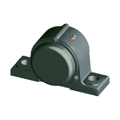 NTN CM-UKP205D1/H2305X Metric Cast Iron Two Bolt Pillow / Plummer Block Housing with Cast Iron Cover - Closed Version - Insert and Adaptor Sleeve Fits 20mm Shaft - Allow 2-3 Days