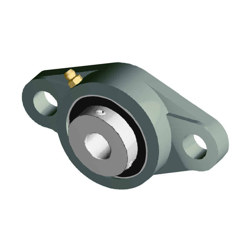 NTN UCFLX05-015D1 Imperial Two Bolt Oval Cast Iron Flange Housing with 15/16 inch Bore Insert - Allow 2-3 Days