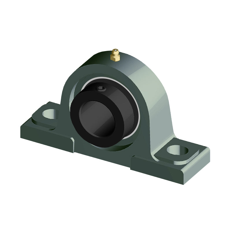 NTN M-UELP205-013D1 Imperial Cast Iron Two Bolt Pillow / Plummer Block Housing with 13/16 inch Eccentric Collar Insert - Allow 2-3 Days