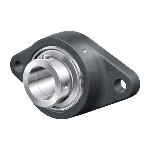 INA RCJTY35XLN Two Bolt Cast Iron Oval Housing with Grub Screw Insert 35mm Bore