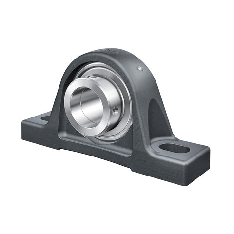 INA RSAO100XL Cast Iron Plummer Block Housing with Eccentric Collar Insert 100mm Bore