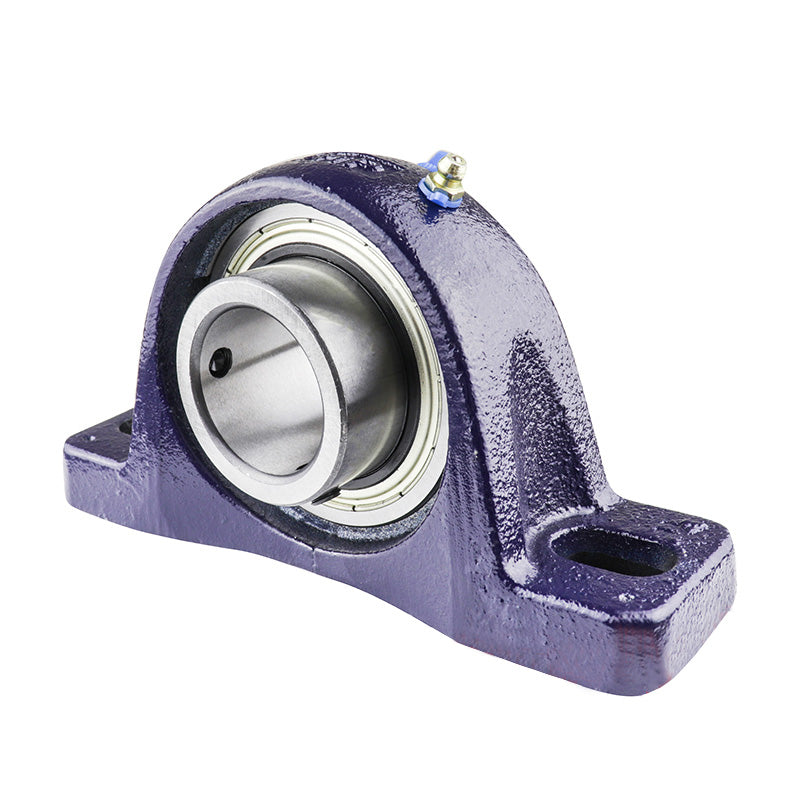 RHP SL1-1/4DECR Two Bolt Cast Iron Pillow Block and 1-1/4 Bore Eccentric Collar Full Width Insert